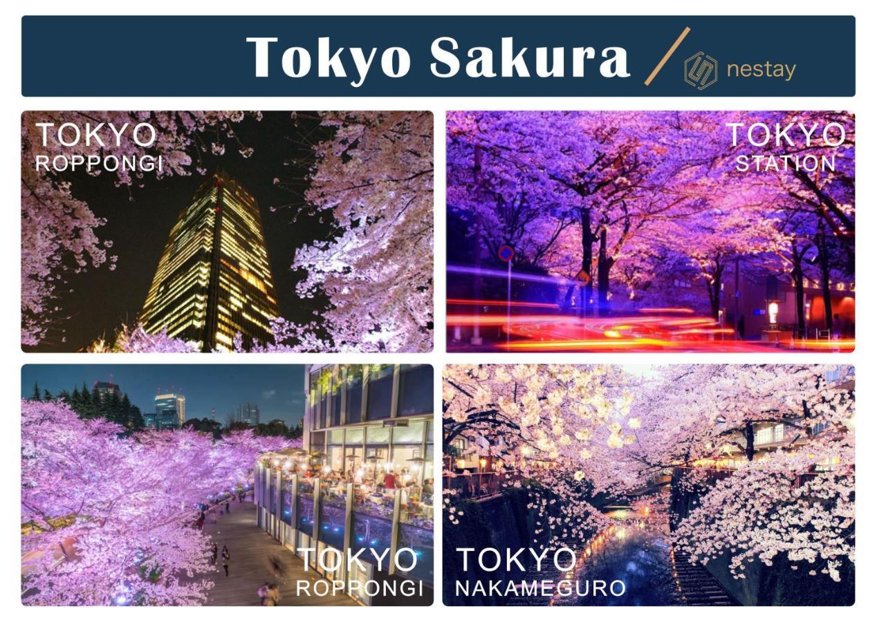 Nestay Villa Tokyo Otsuka 외부 사진